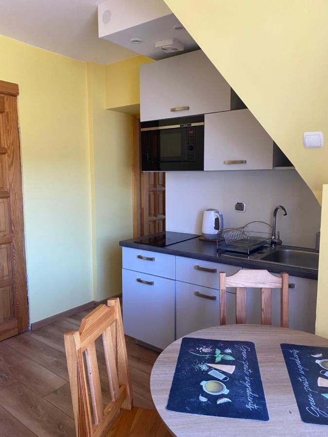 Apartamenty Nad Potokiem Aneta Burliga 扎科帕内 外观 照片
