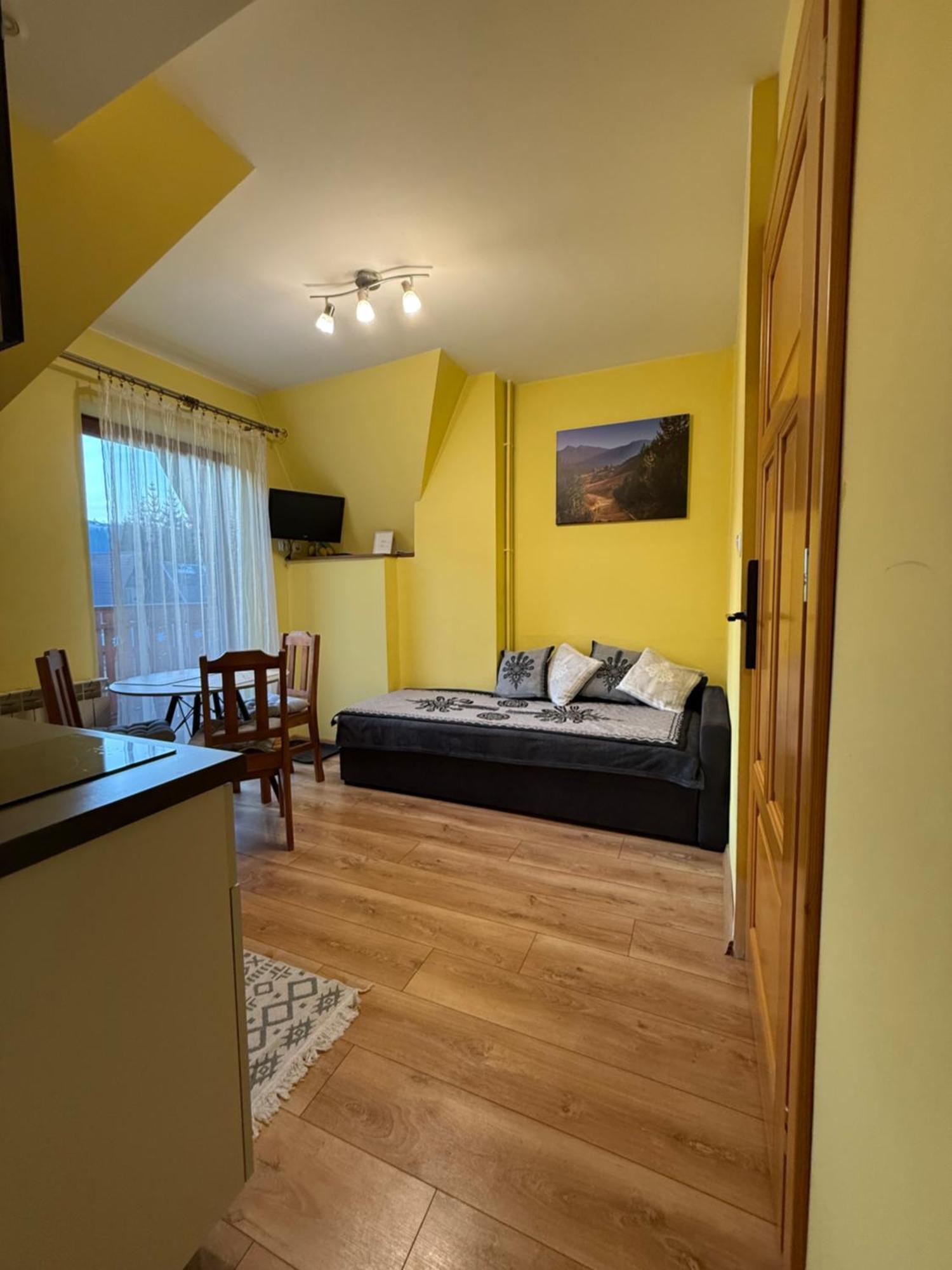 Apartamenty Nad Potokiem Aneta Burliga 扎科帕内 外观 照片